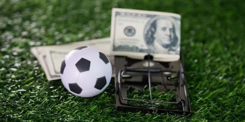 Phân tích và giải thích vì sao Level Ball được nhiều người lựa chọn